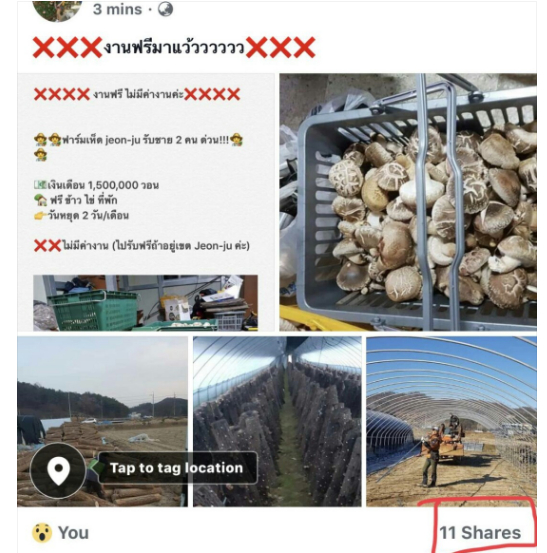 d979d070e2170ef020db7c0f991d17dc_1551331661_816.png